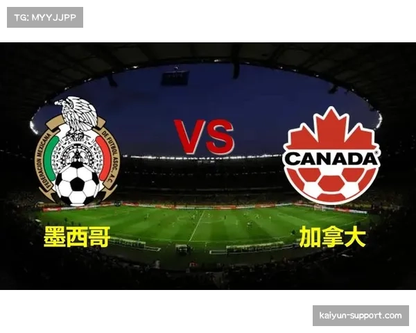 美国11城墨西哥3城加拿大2城承办赛事 经济效应分布引关注